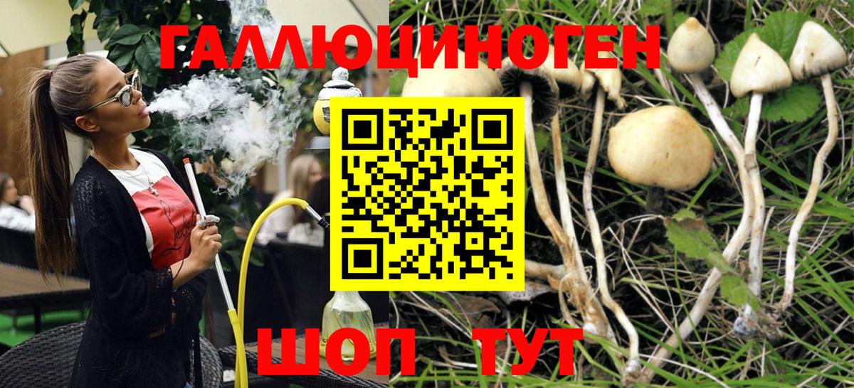 Псилоцибиновые грибы мицелий Кемерово
