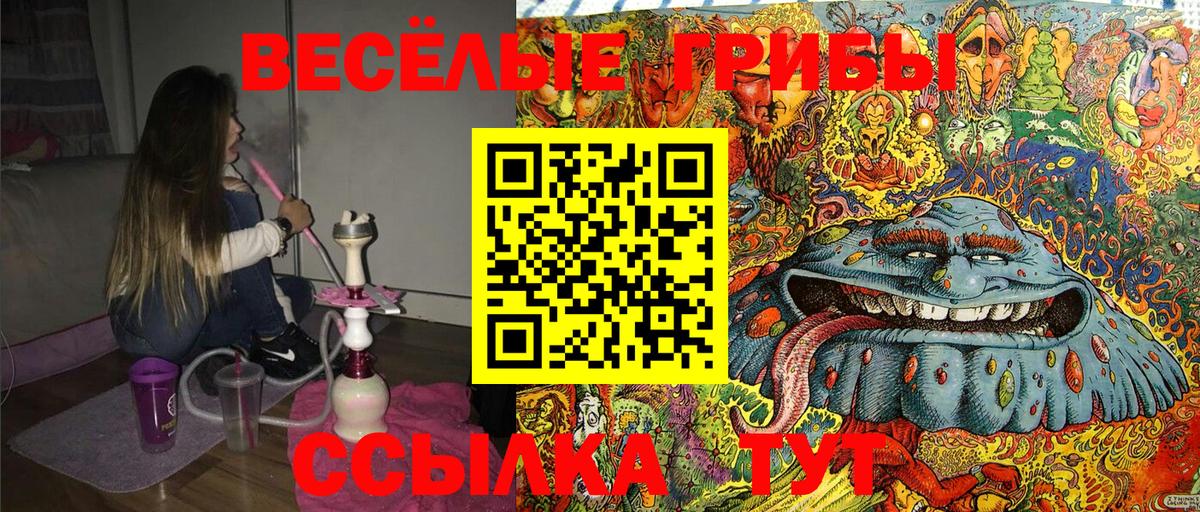 Галлюциногенные грибы Cubensis  Галлюциногенные грибы мицелий  Кемерово  Вход с VPN 