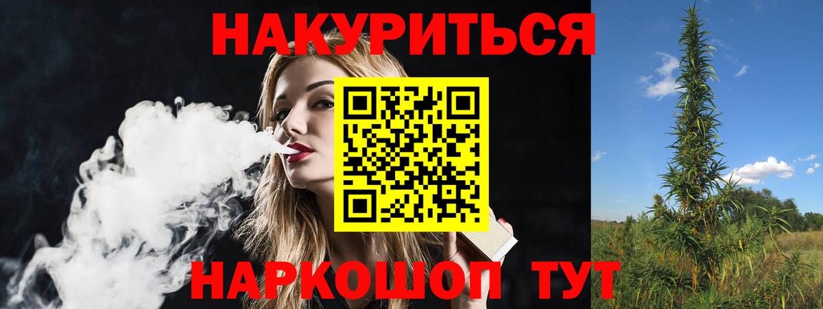Каннабис семена  Бошки Шишки гибрид  Вход с VPN  Кемерово  Канабис Bruce Banner  Каннабис Amnesia 